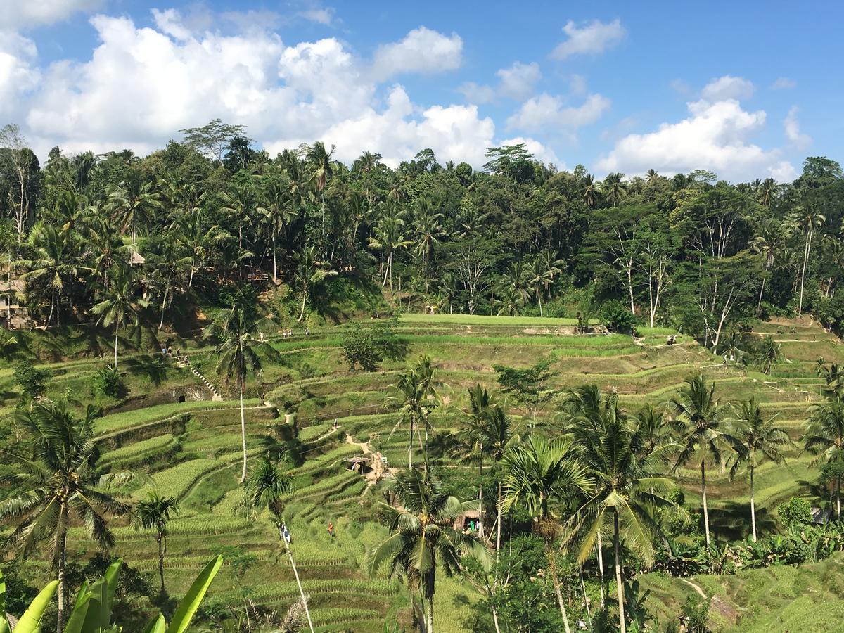 Villa Maha Ubud Eksteriør bilde